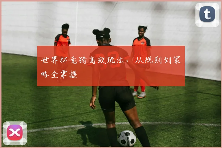 世界杯竞猜高效玩法，从规则到策略全掌握