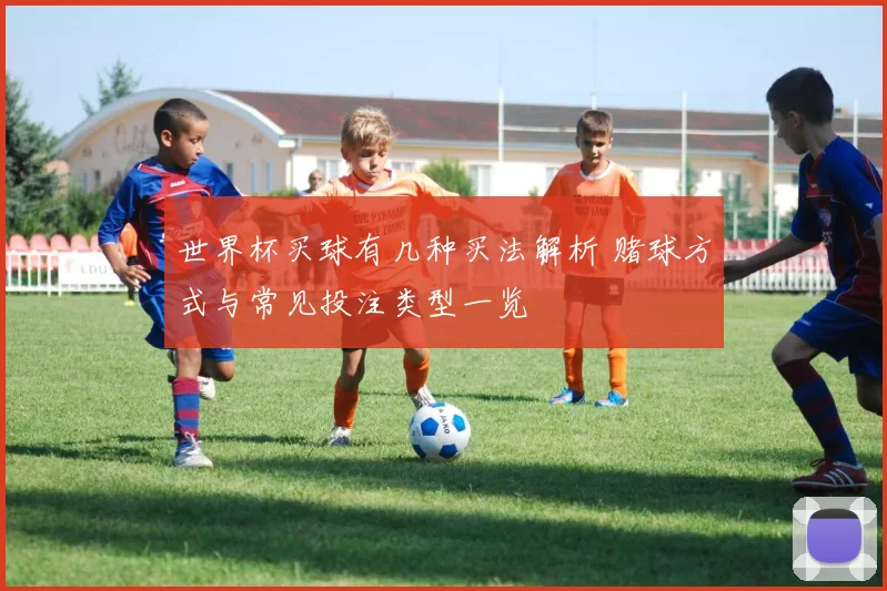世界杯买球有几种买法解析 赌球方式与常见投注类型一览